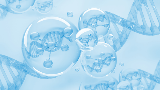 Hautidentische Pflege – warum die DMS-Cremebasis hochverträglich ist